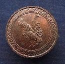 ­ ѡѵ      P38556