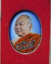 ͡ǧ  73    P53247