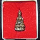СվԹ   43  P54438