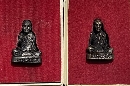 ٻǧͨ  33   P45490