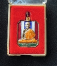 ǧ   ٹ ԹǴ  P54797