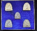 лԴѴҧ ѡ- 觵Сش  P55043