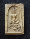 稾Ф Ѵҧ  P49560