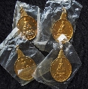 ��Ъ����ѧ��ҧ ��ѧ ��� �ͧ���  P55575